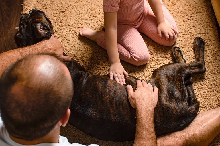 Een donkergekleurde hond ligt op een tapijt terwijl een kind en een volwassene hem rustig aaien. De sfeer oogt warm en huiselijk.