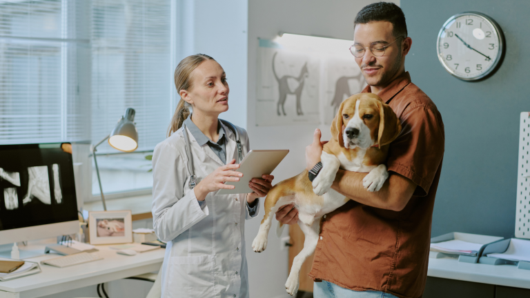 Man houdt Beagle in armen vast terwijl dierenarts hond nakijkt. PetSecur