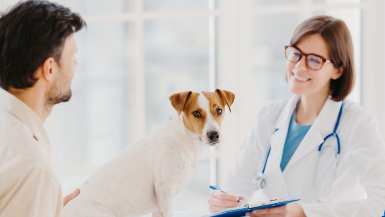 Consult bij de dierenarts PetSecur