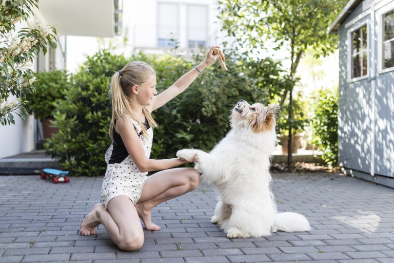 Een meisje traint haar hond buiten op het terras; de hond zit op zijn achterpoten en geeft een poot terwijl ze hem een lekkernij aanbiedt