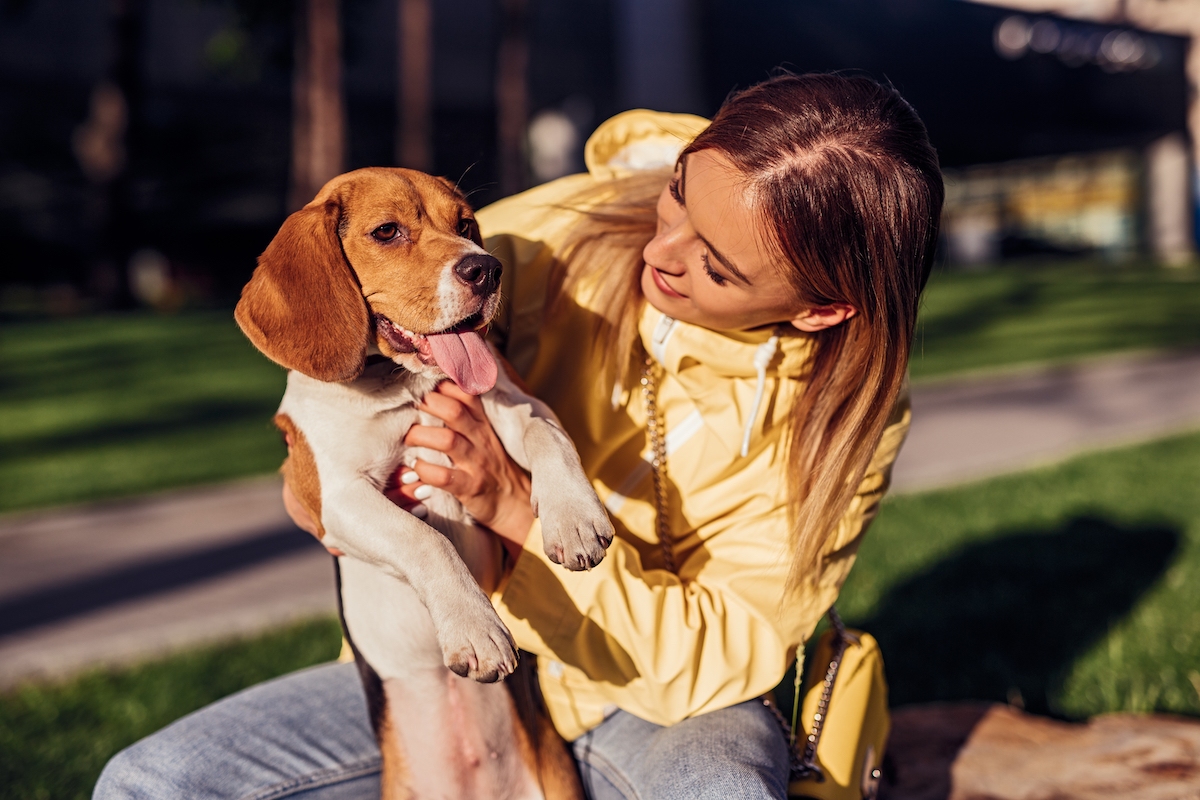 Wat kost een MRI voor een hond?