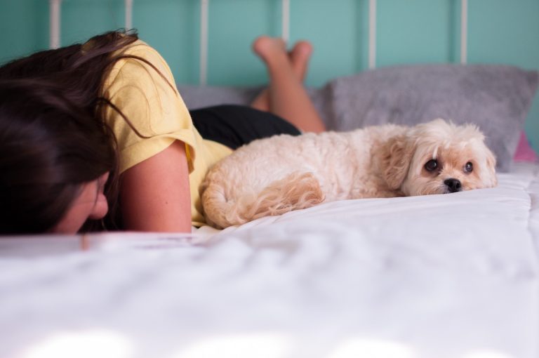Een kleine witte hond ligt op een bed naast een persoon die met haar hoofd omlaag rust, terwijl de hond met grote ogen recht in de camera kijkt.