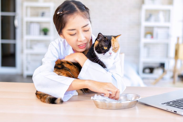 Een dierenarts in een witte jas houdt een driekleurige kat vast op een tafel, terwijl ze iets uit een metalen bakje pakt in een heldere, moderne ruimte.