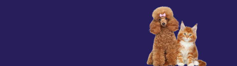 populairste dierennamen 2024
