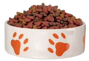 Welke type voerbak is het beste voor jouw hond