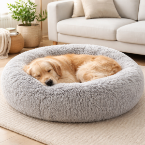 Slaperige Golden Retriever in een hondenmand PetSecur