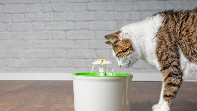 Stromende waterdrinkbak PetSecur