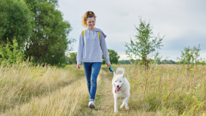 Een vrouw wandelt over een grasachtig pad met haar witte hond aan de lijn. De zon schijnt zachtjes door de bomen op de achtergrond