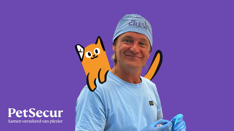 Piet Hellemans videoreeks PetSecur