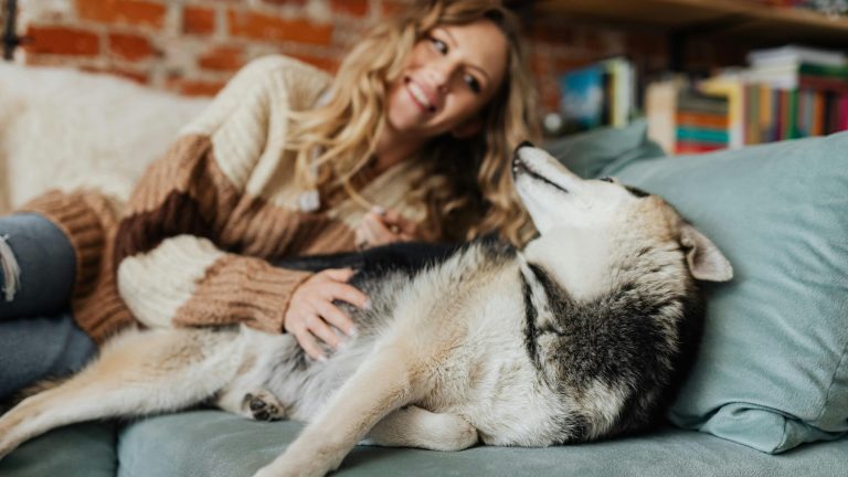 Een vrouw ligt met een husky op de bank en is blij want heeft een verzekering afgesloten