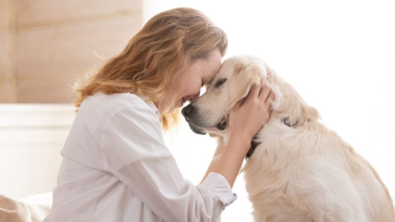 Hoe kan ik mijn premie berekenen voor mijn hond? PetSecur