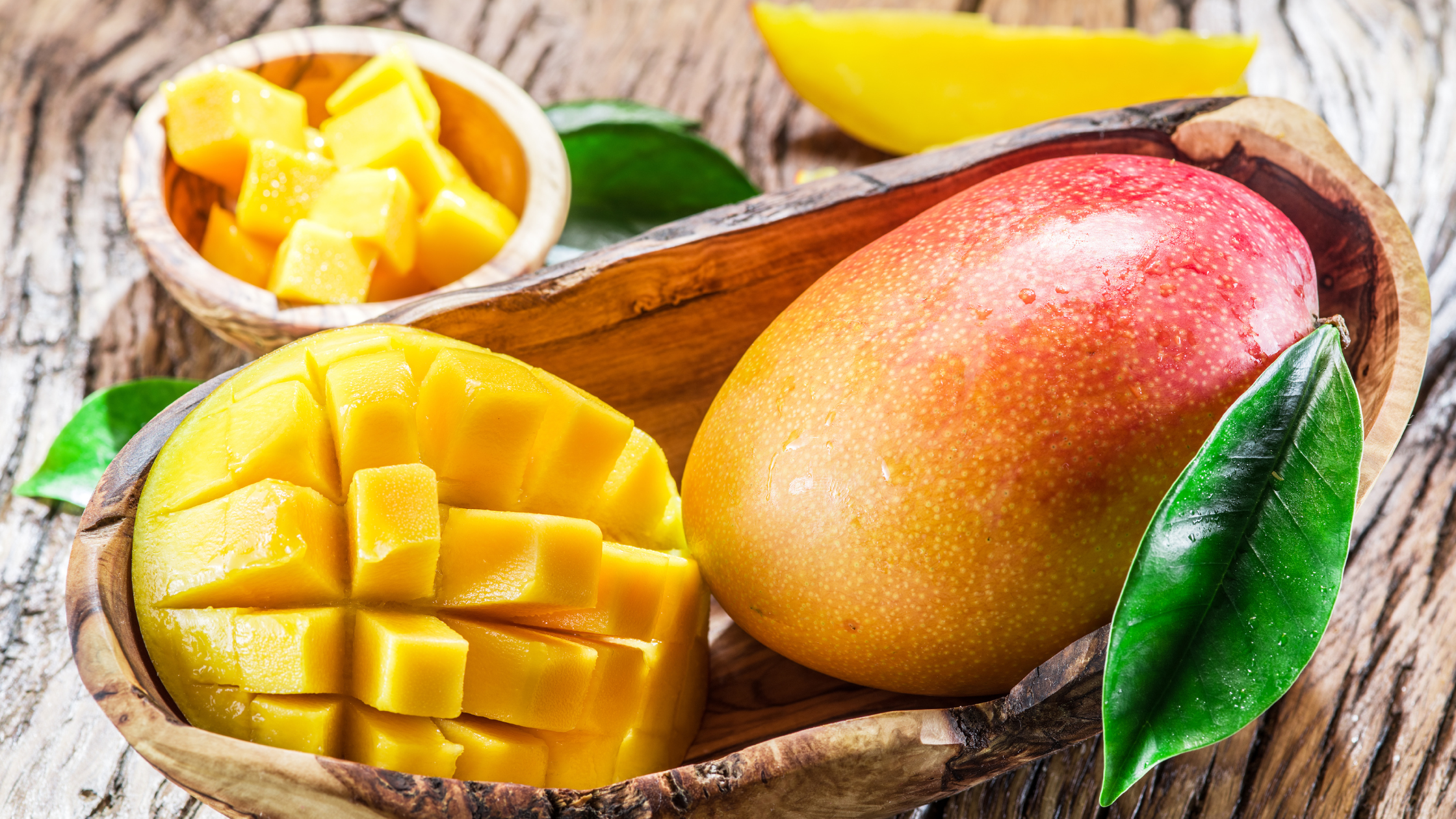 Mag een hond mango? PetSecur